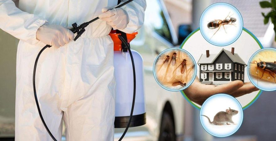 Manavgat Böcek İlaçlama