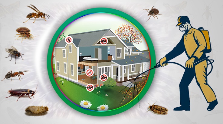 Manavgat Böcek İlaçlama