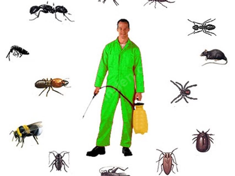 Manavgat Böcek İlaçlama